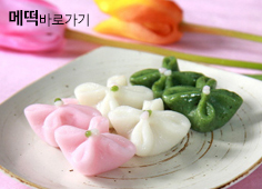이미지명